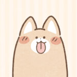 わんこ